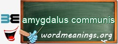 WordMeaning blackboard for amygdalus communis